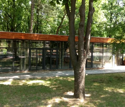 Галерея #95 - 1